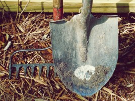 Эксперты подсказали, как хранить ручной инструмент для сада и огорода