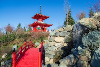 Долгожданный японский сад откроется в Краснодаре весной